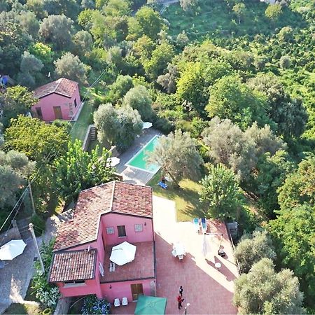 Agricontura ξενώνας Capri Leone Δωμάτιο φωτογραφία