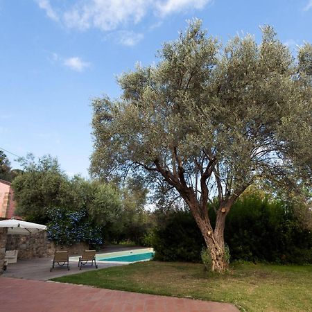 Agricontura ξενώνας Capri Leone Εξωτερικό φωτογραφία
