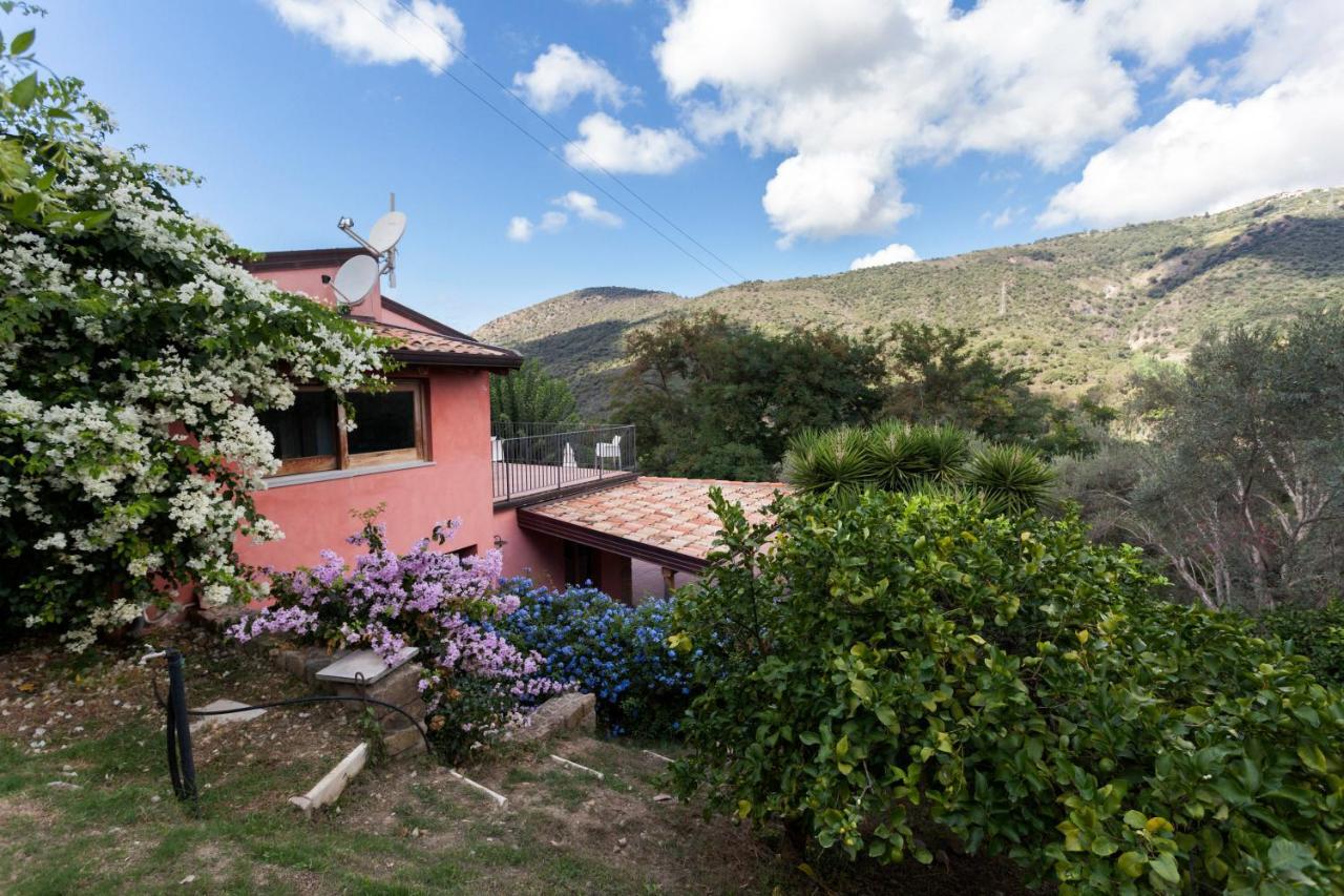 Agricontura ξενώνας Capri Leone Εξωτερικό φωτογραφία