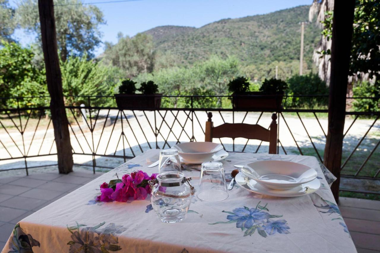 Agricontura ξενώνας Capri Leone Εξωτερικό φωτογραφία