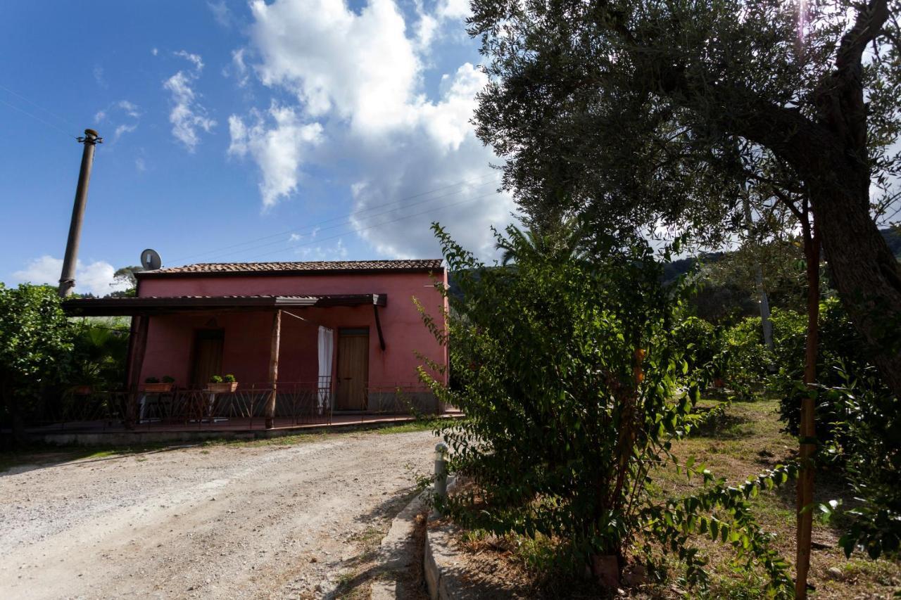 Agricontura ξενώνας Capri Leone Εξωτερικό φωτογραφία