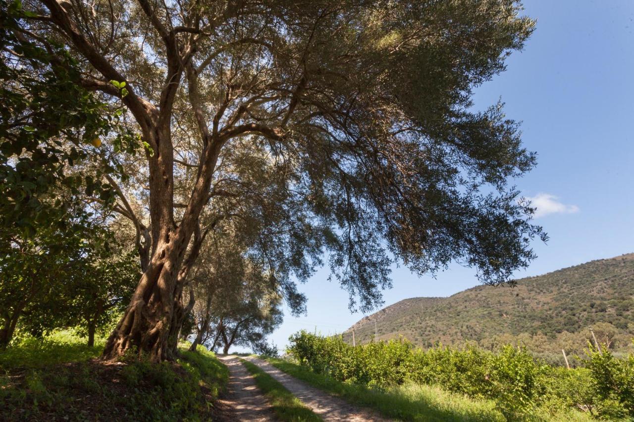 Agricontura ξενώνας Capri Leone Εξωτερικό φωτογραφία